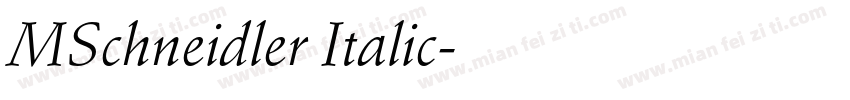MSchneidler Italic字体转换